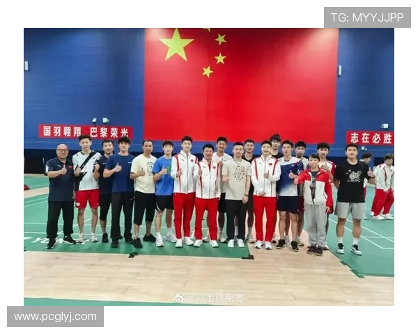 西安羽毛球队耐力表现分析与大满贯赛事的深度点评 西安羽毛球队耐力表现分析与大满贯赛事的深度点评