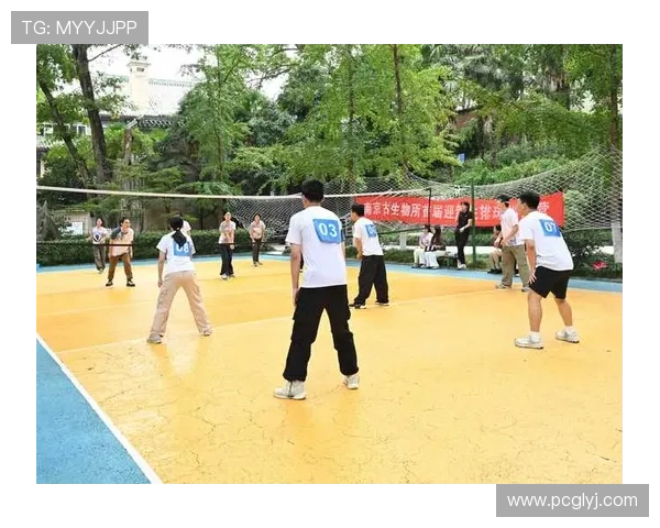 南京排球队防守革新探索新策略引领比赛新风潮