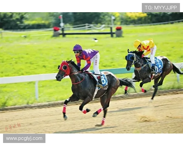 深圳羽毛球队的崛起之路：亚运会背后的奋斗与荣耀