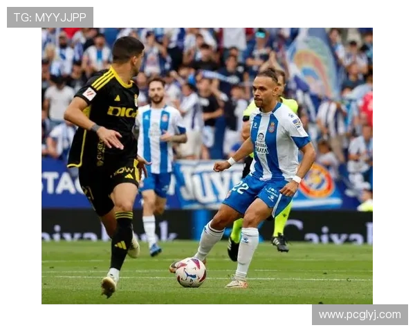 维特足球明星名单全面解析与历史成就回顾